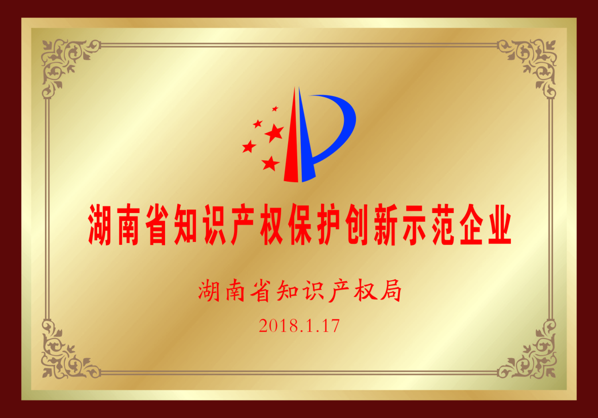 湖南知識產權保護創新示范企業